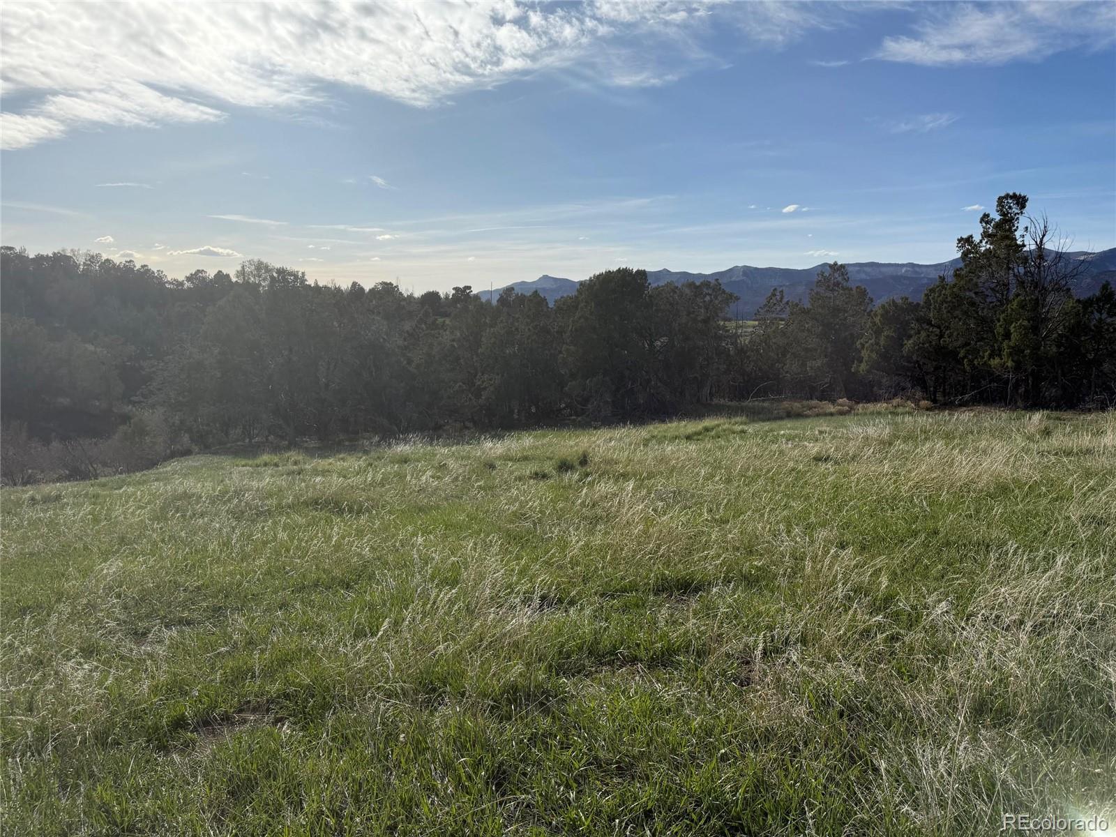 Photo of Listing #4973595