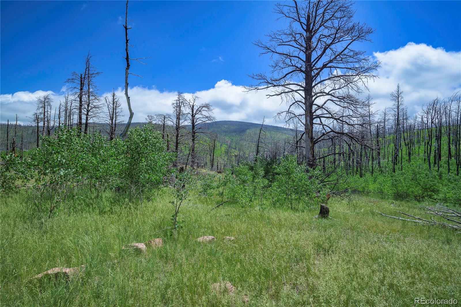 Photo of Listing #4980235