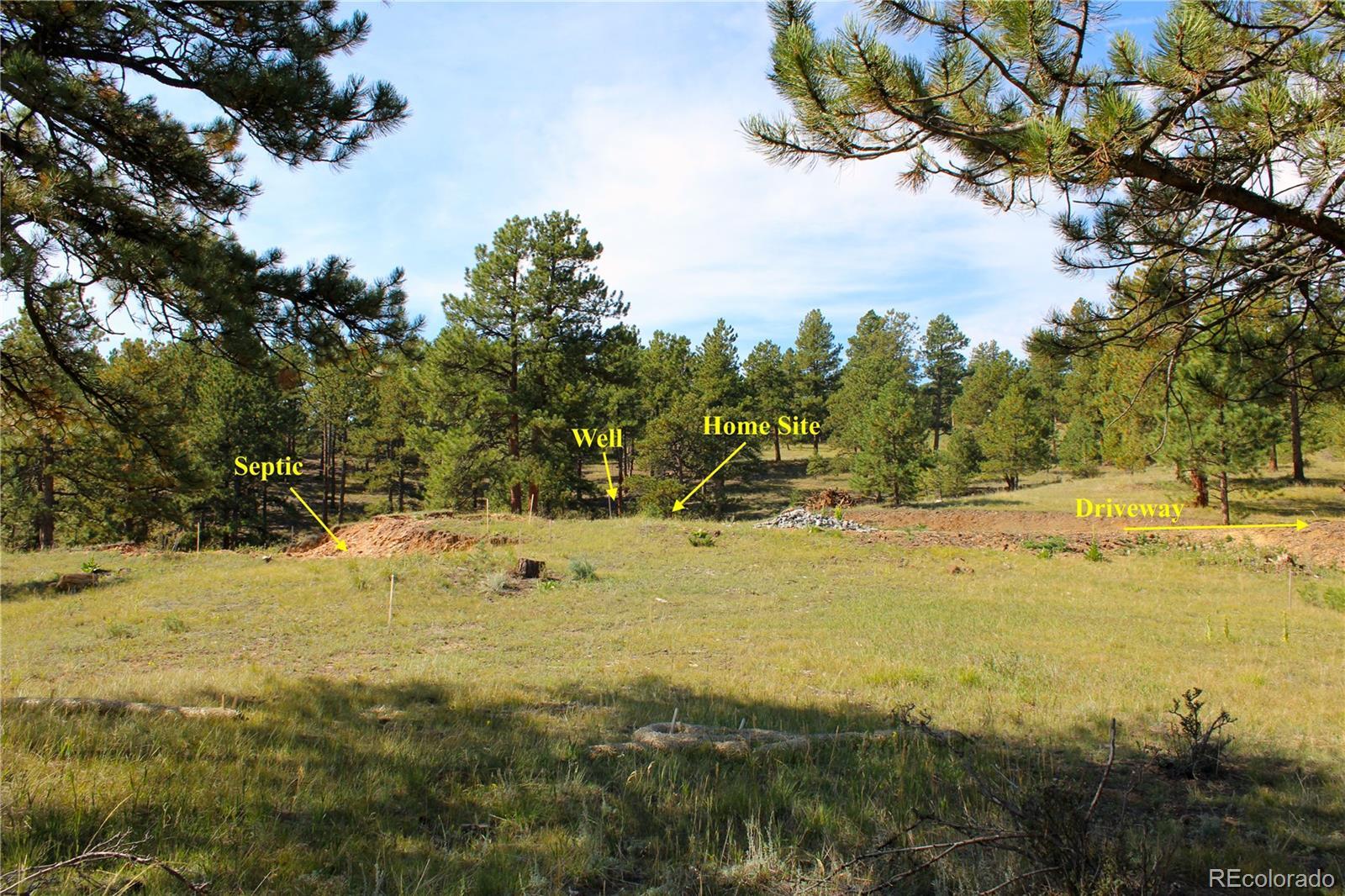 Photo of Listing #5011148