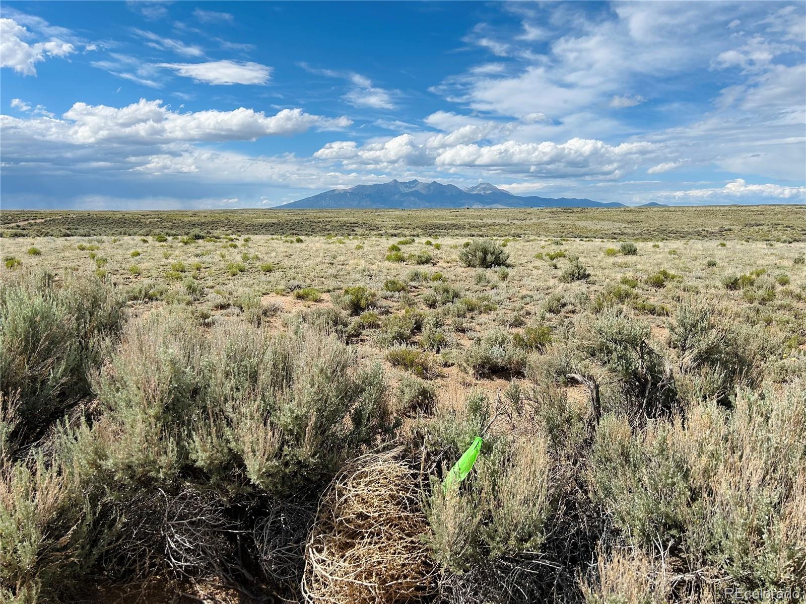 Photo of Listing #5019826