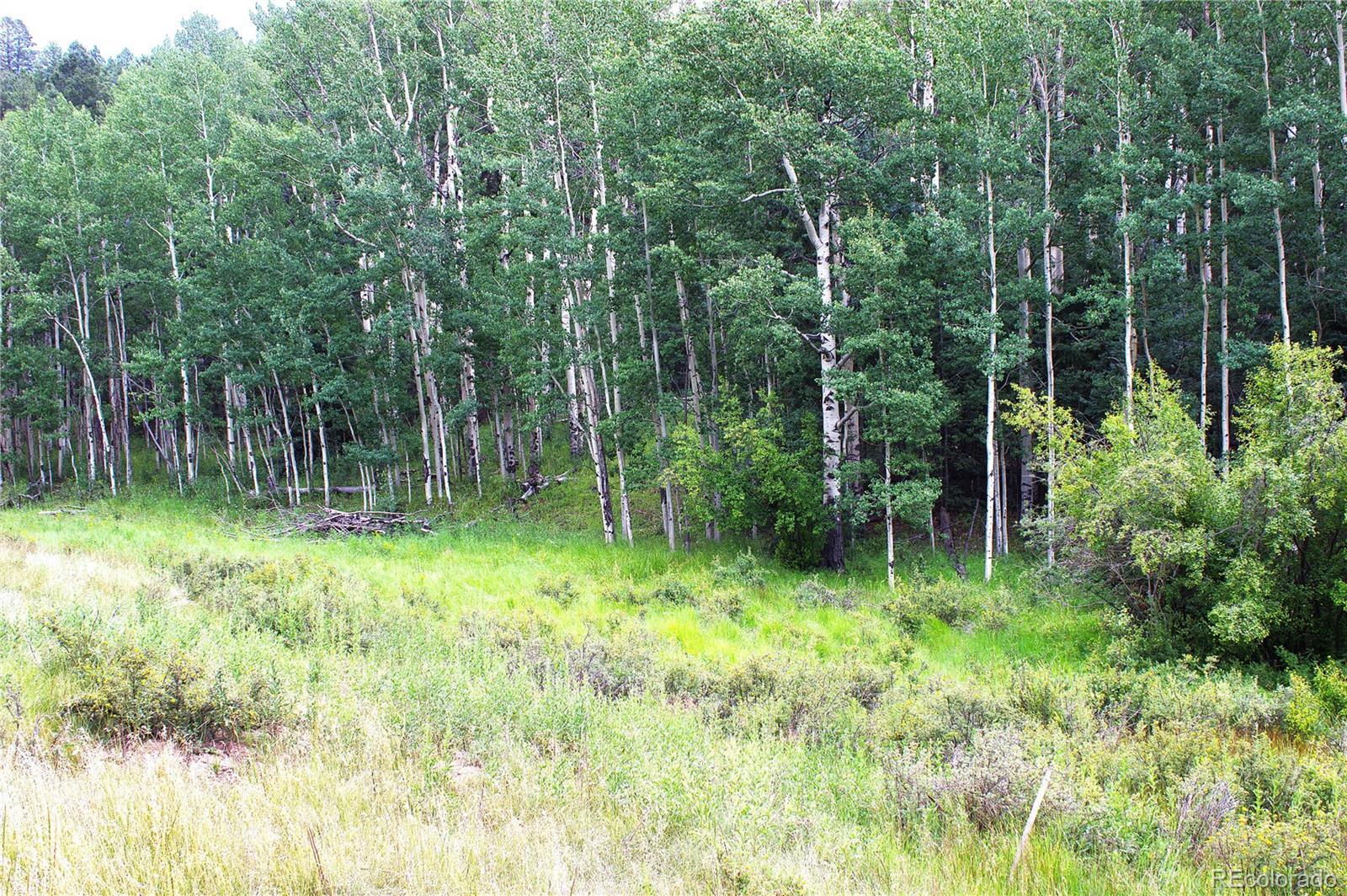 Photo of Listing #5059462