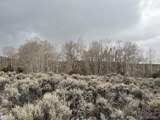 Photo of Listing #5067062