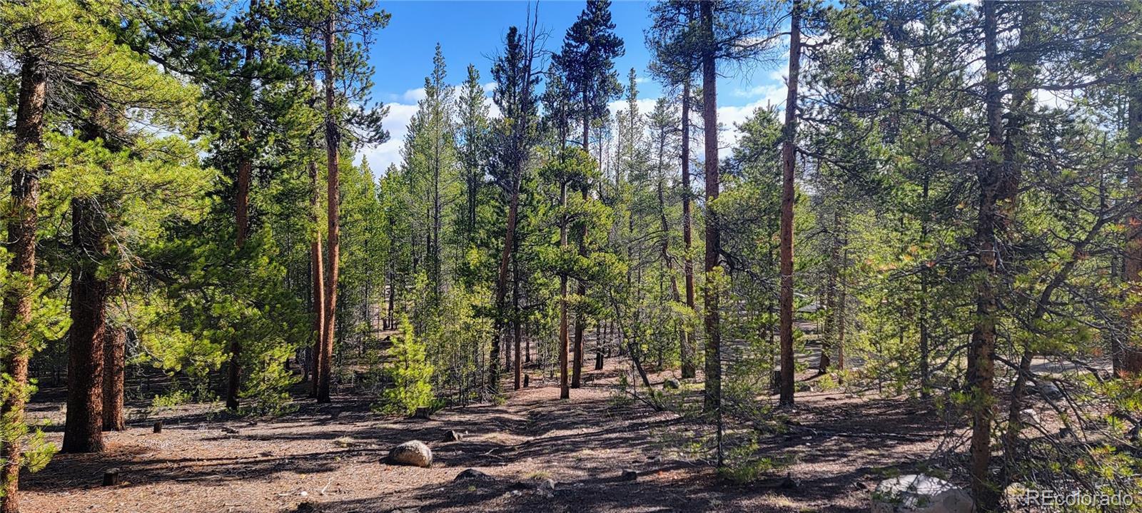 Photo of Listing #5071375