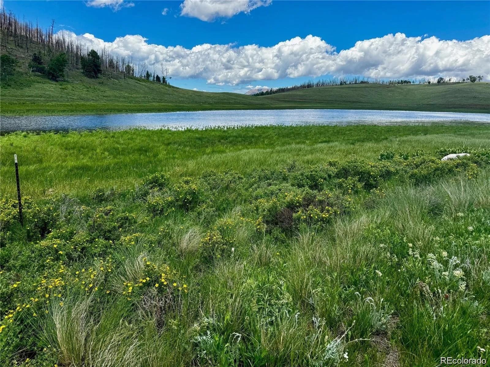 Photo of Listing #5110006