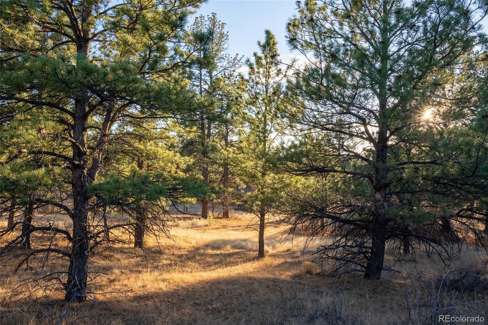 Photo of Listing #5139462