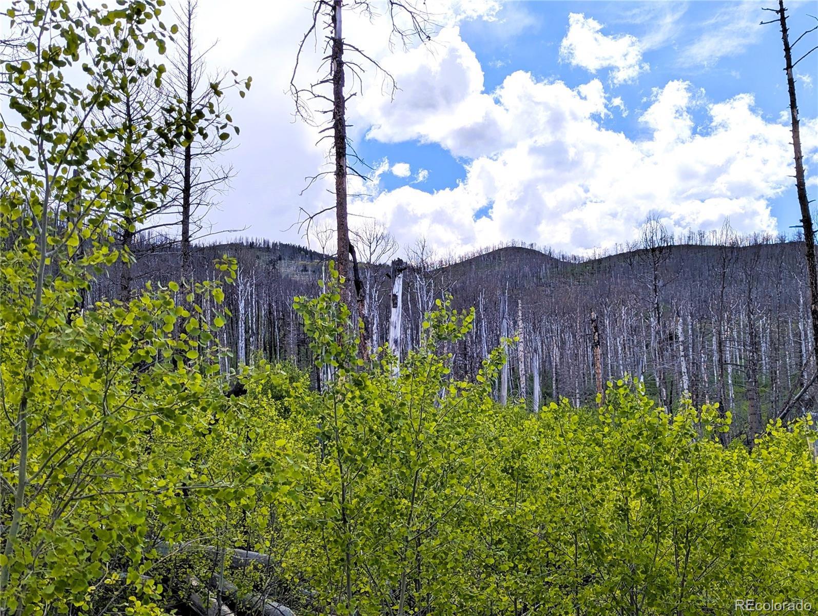 Photo of Listing #5152838