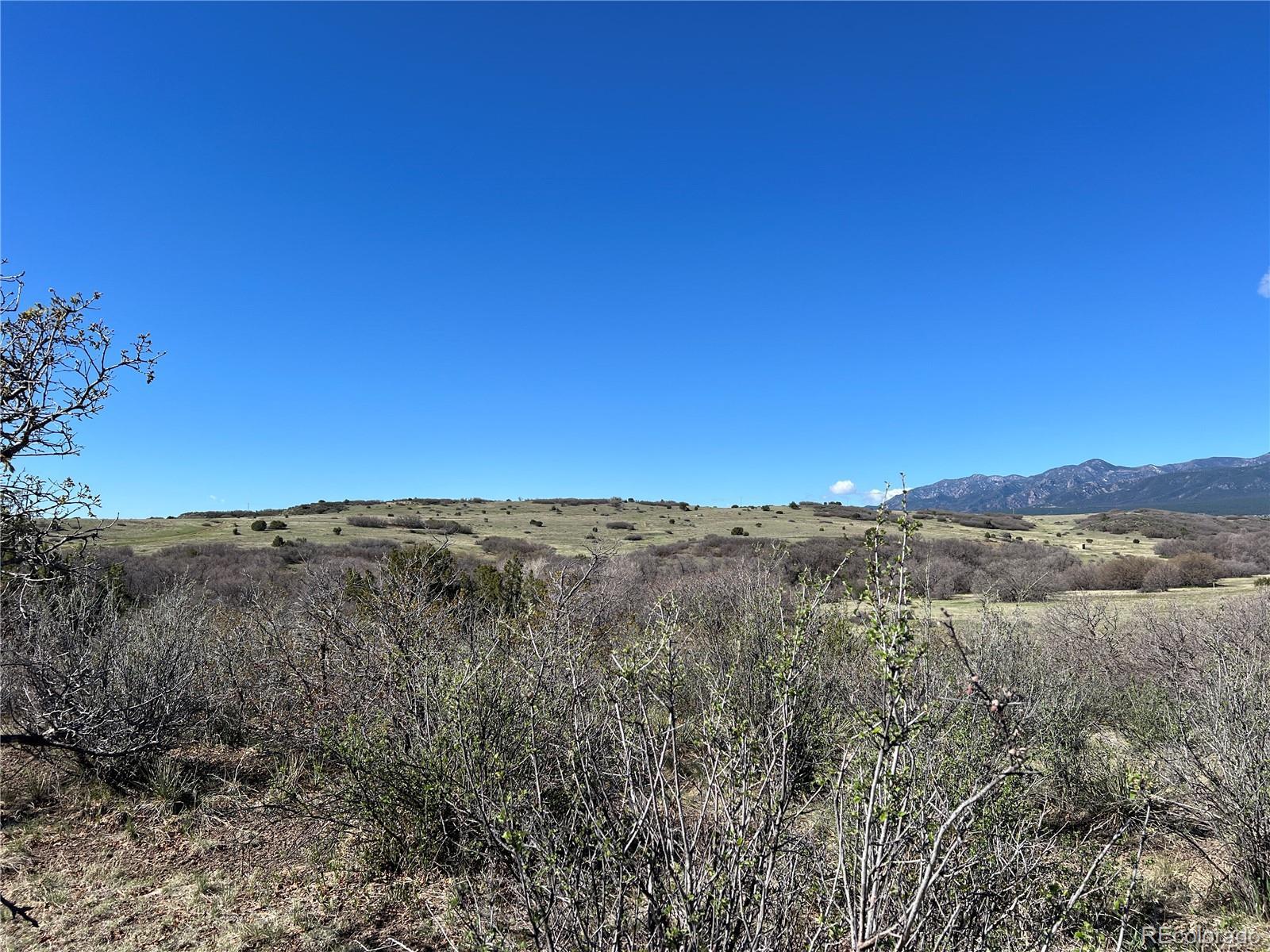 Photo of Listing #5160311