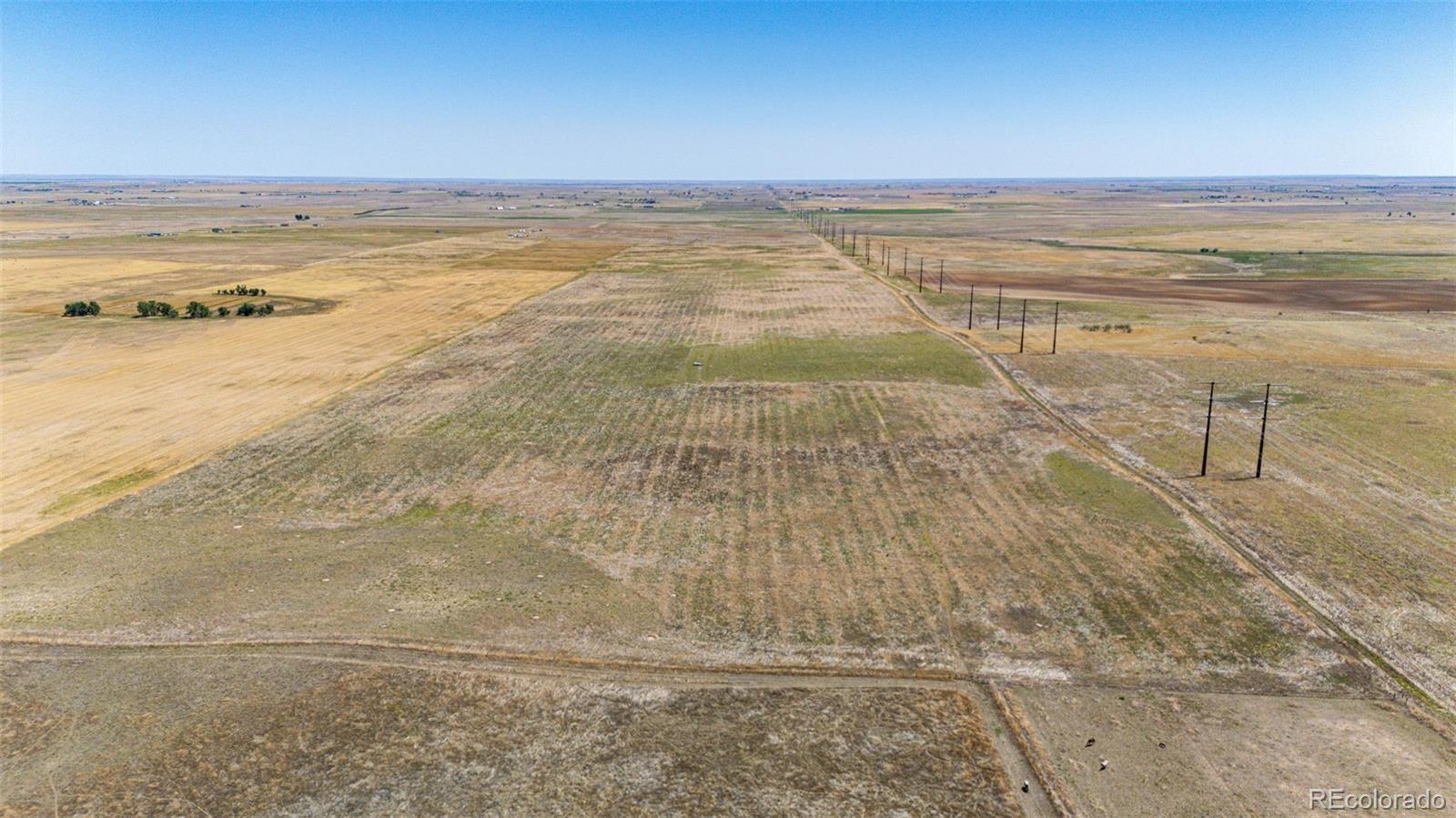 Photo of Listing #5202120