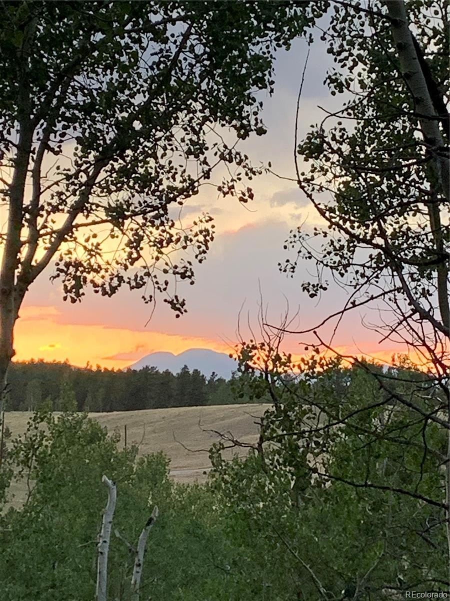 Photo of Listing #5239610