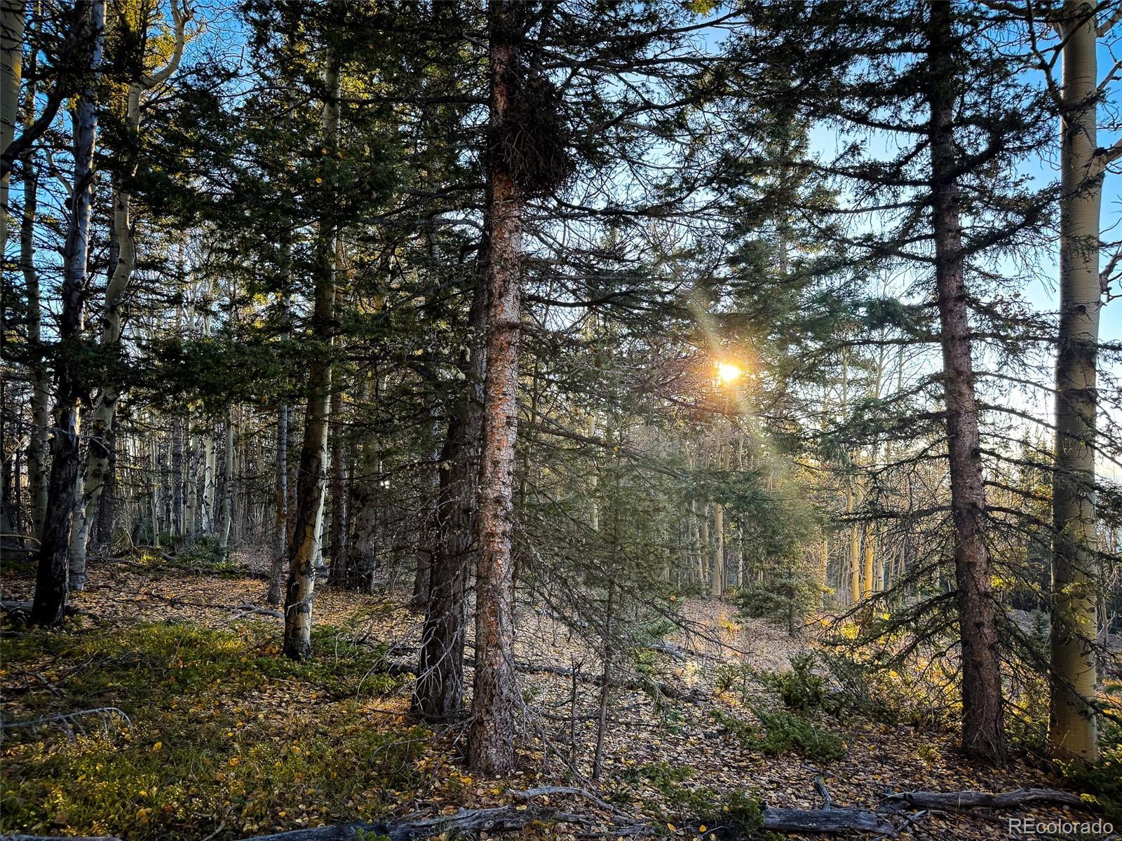 Photo of Listing #5267081