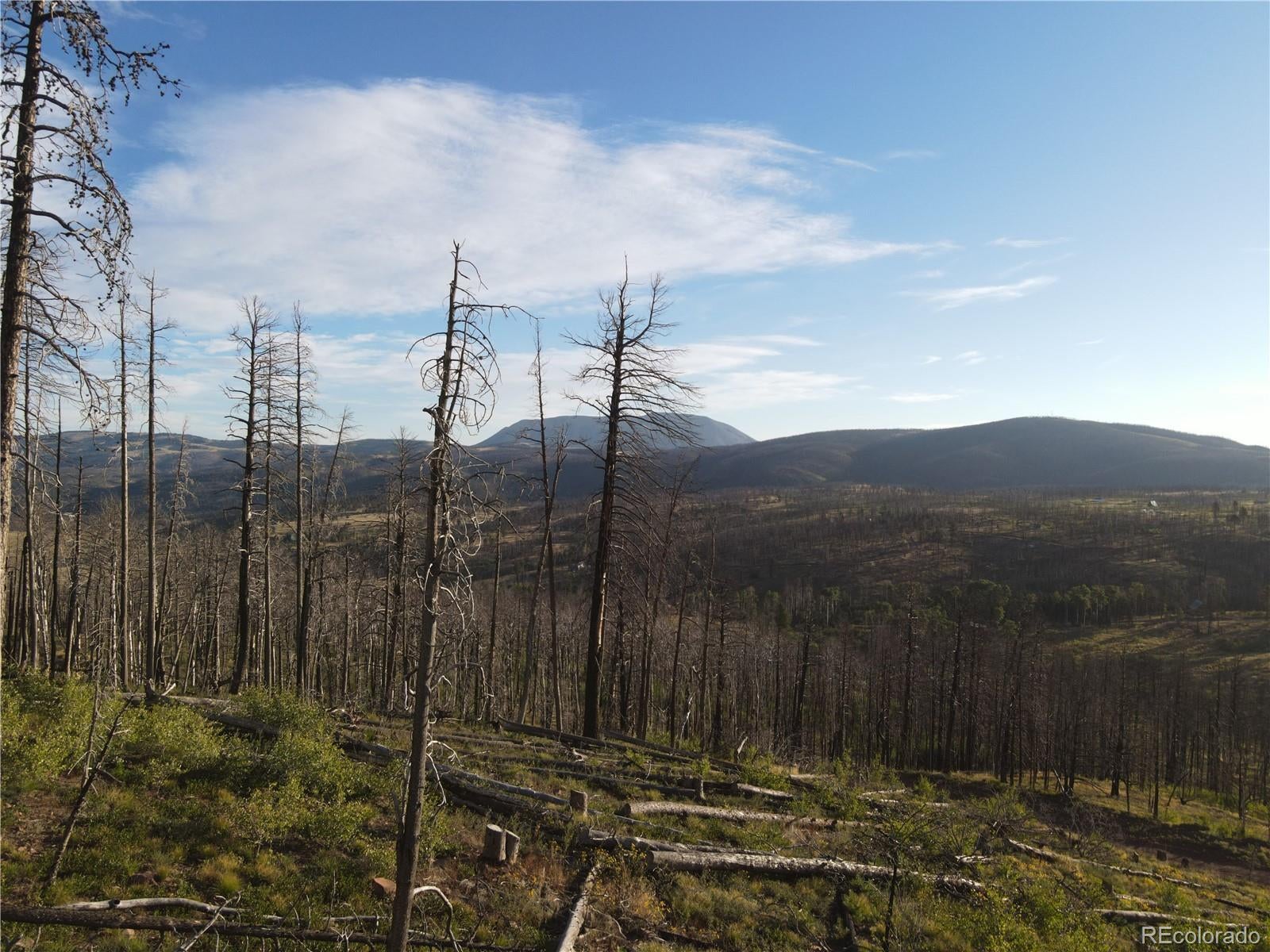 Photo of Listing #5276227