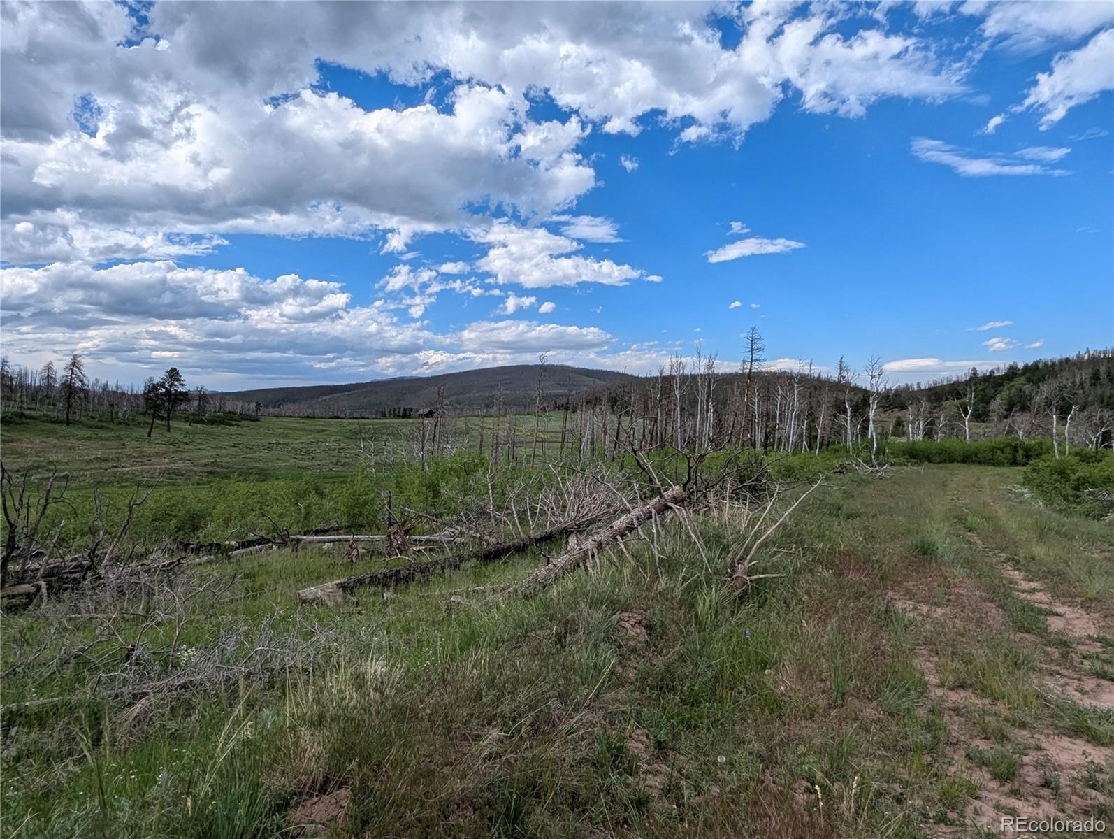 Photo of Listing #5290007