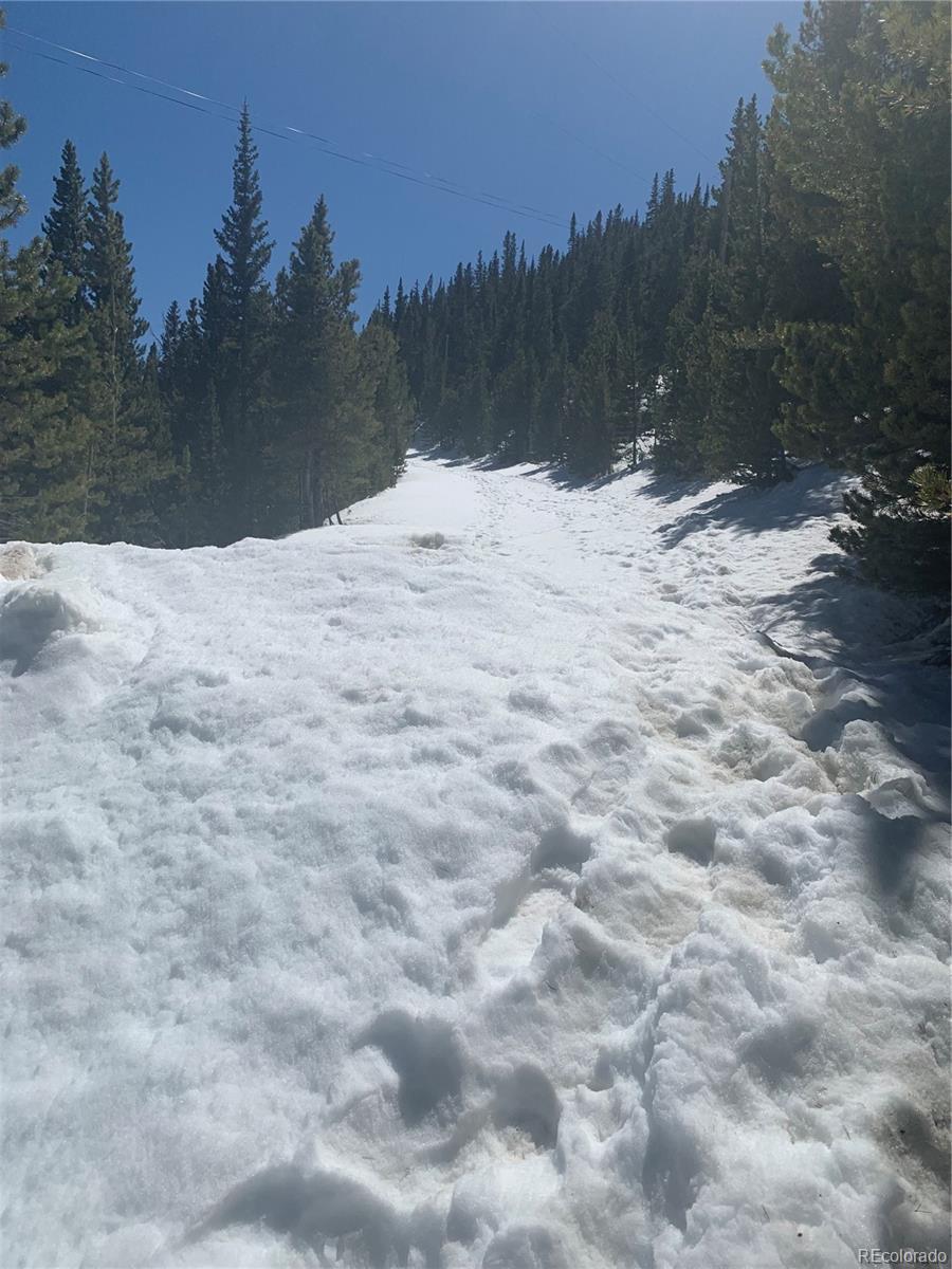 Photo of Listing #5299434