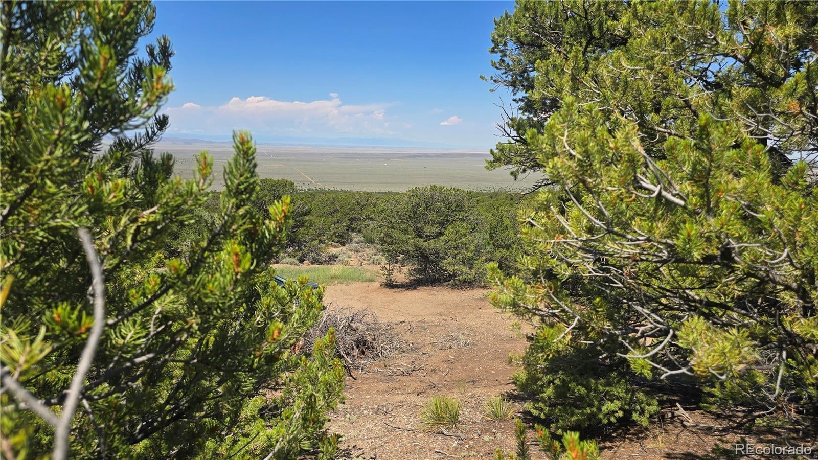 Photo of Listing #5402519