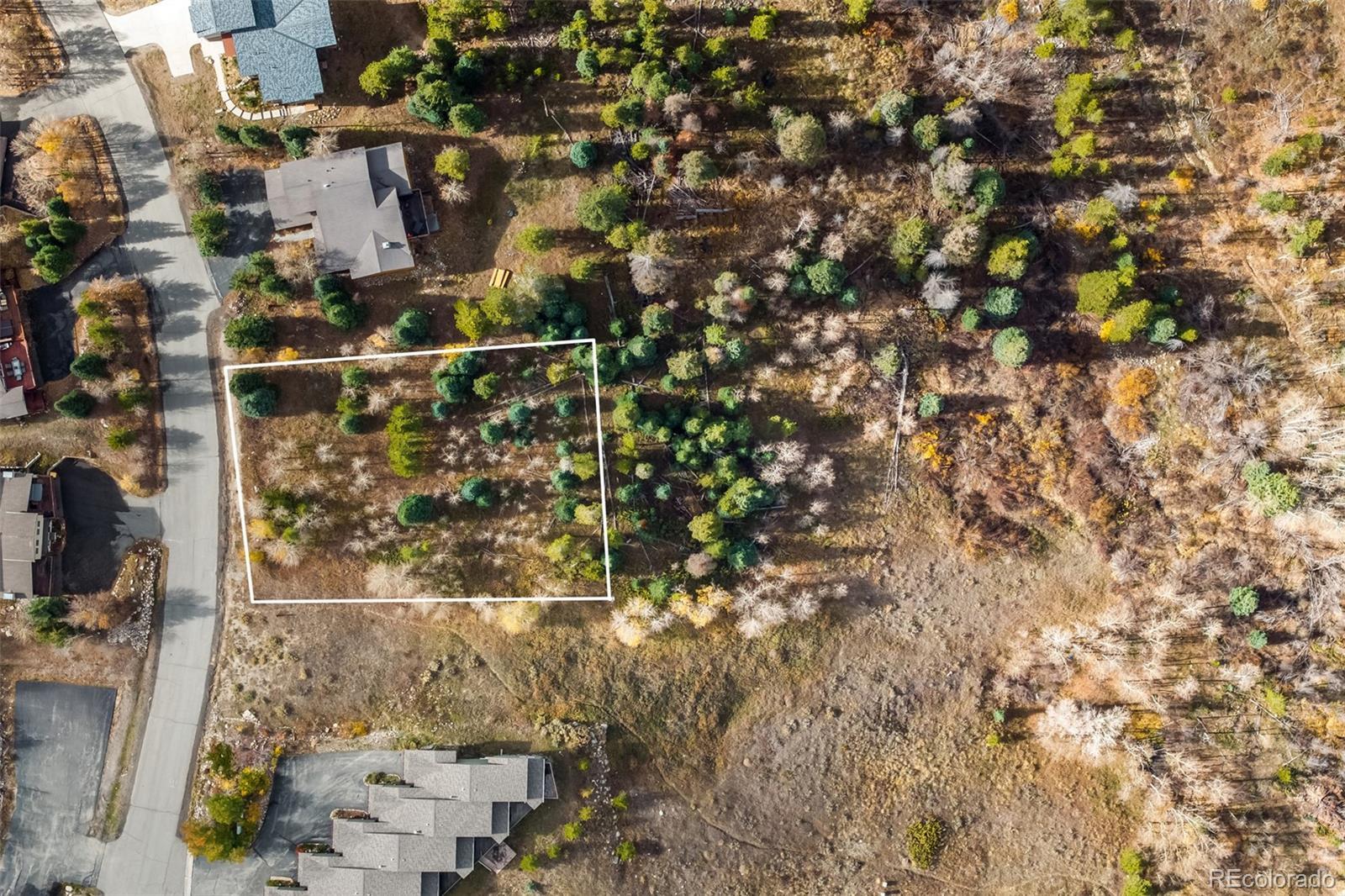 Photo of Listing #5501541