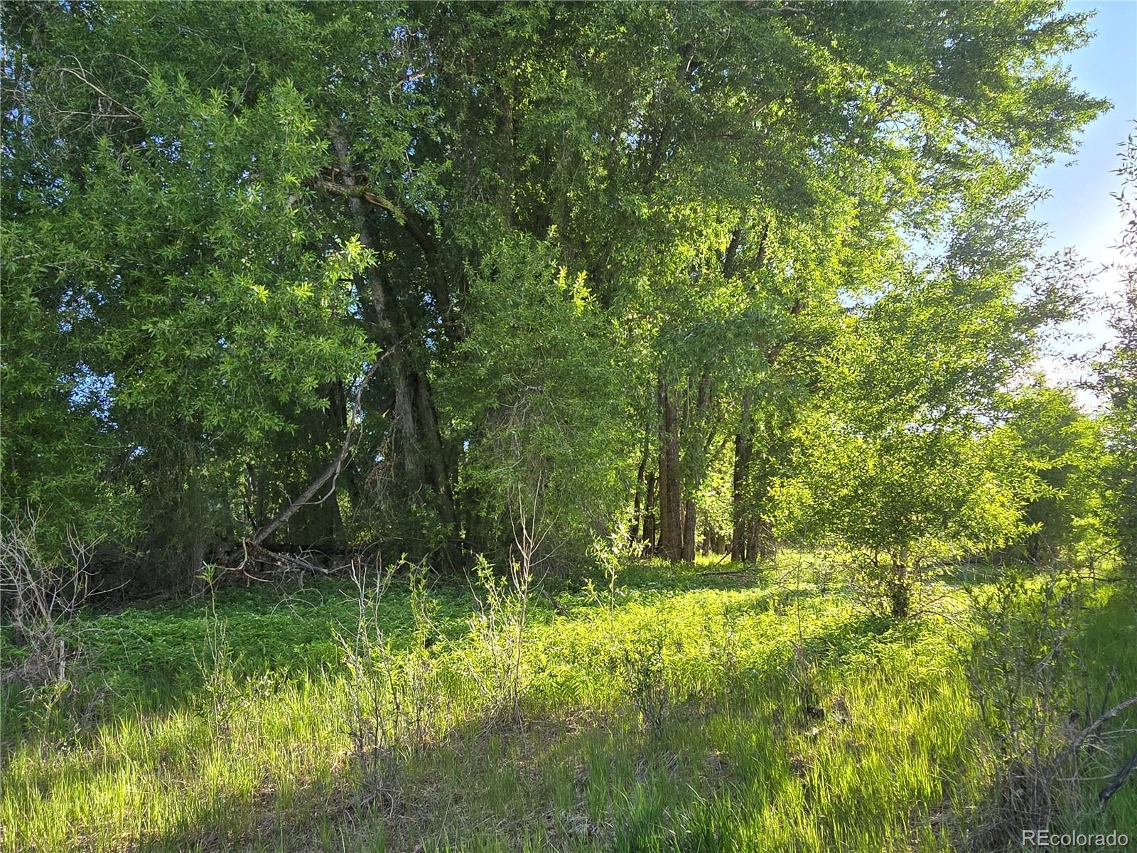 Photo of Listing #5524447