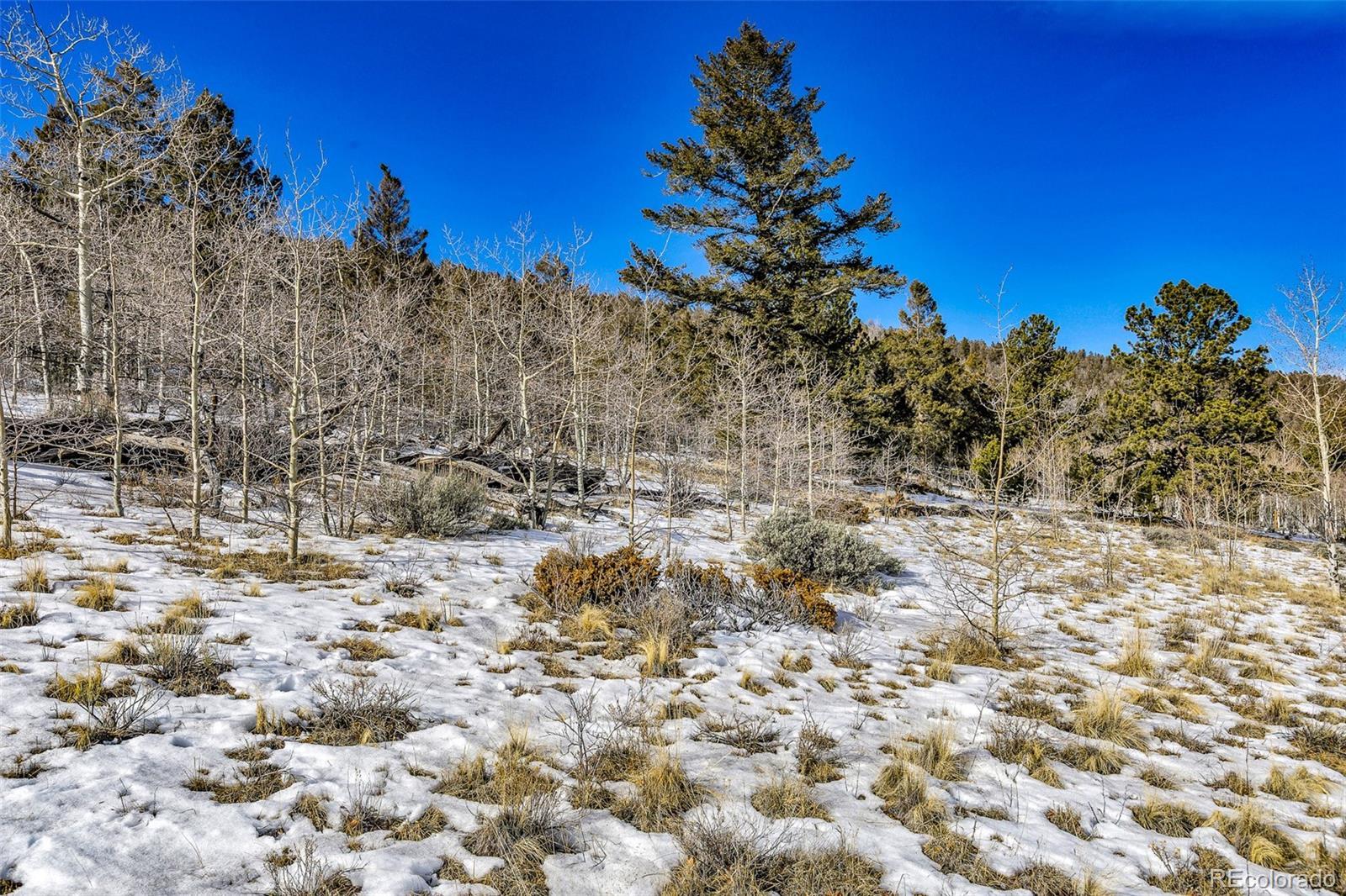 Photo of Listing #5549360