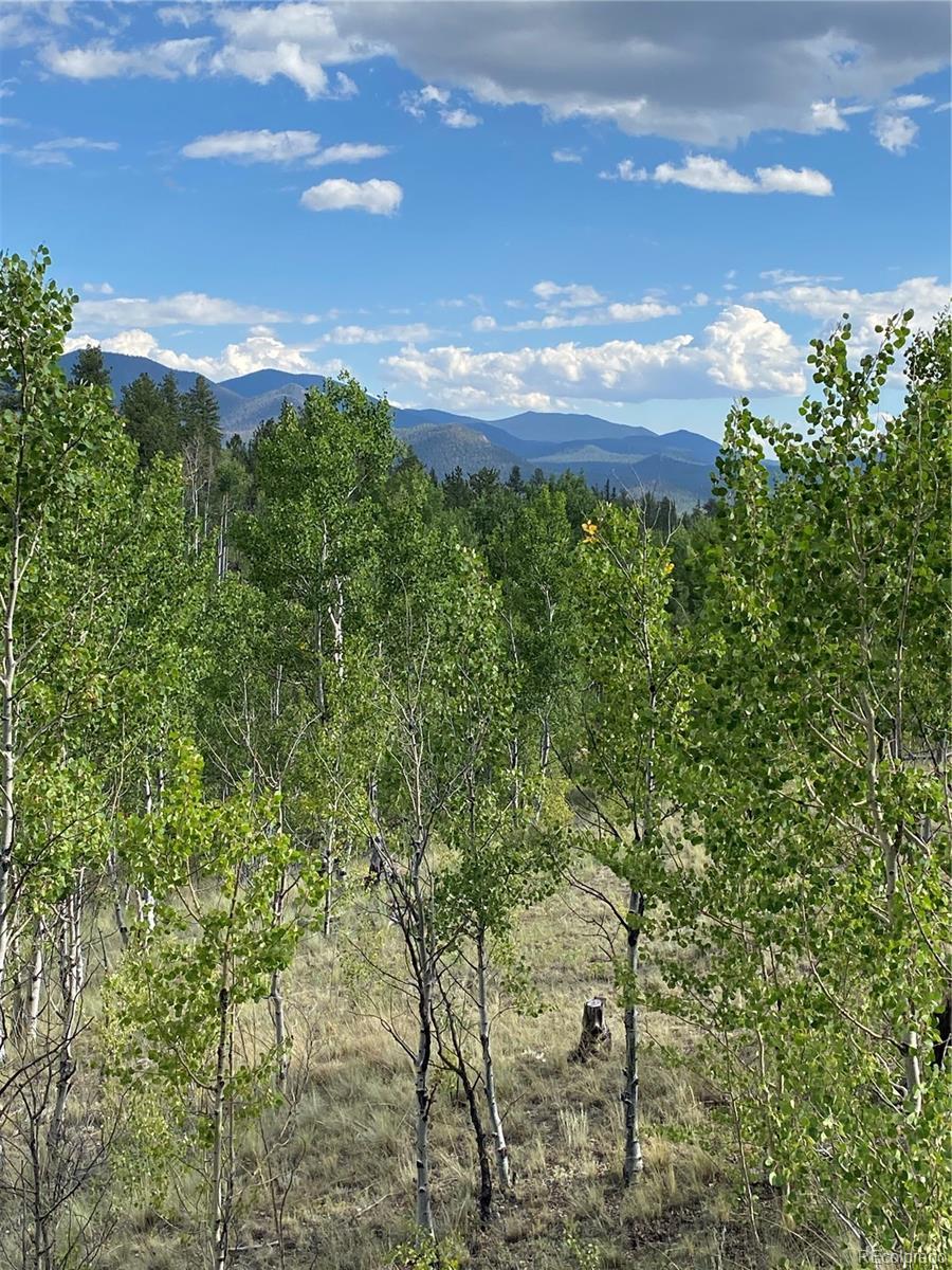 Photo of Listing #5563261