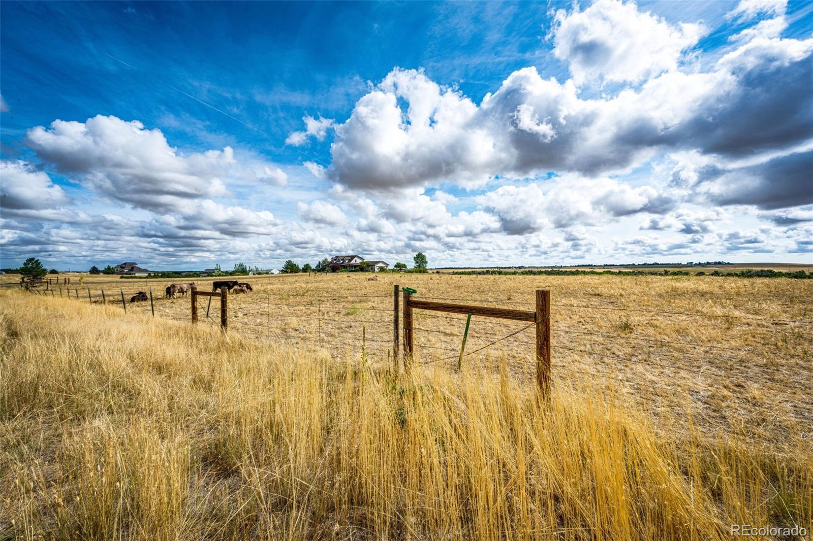 Photo of Listing #5581749