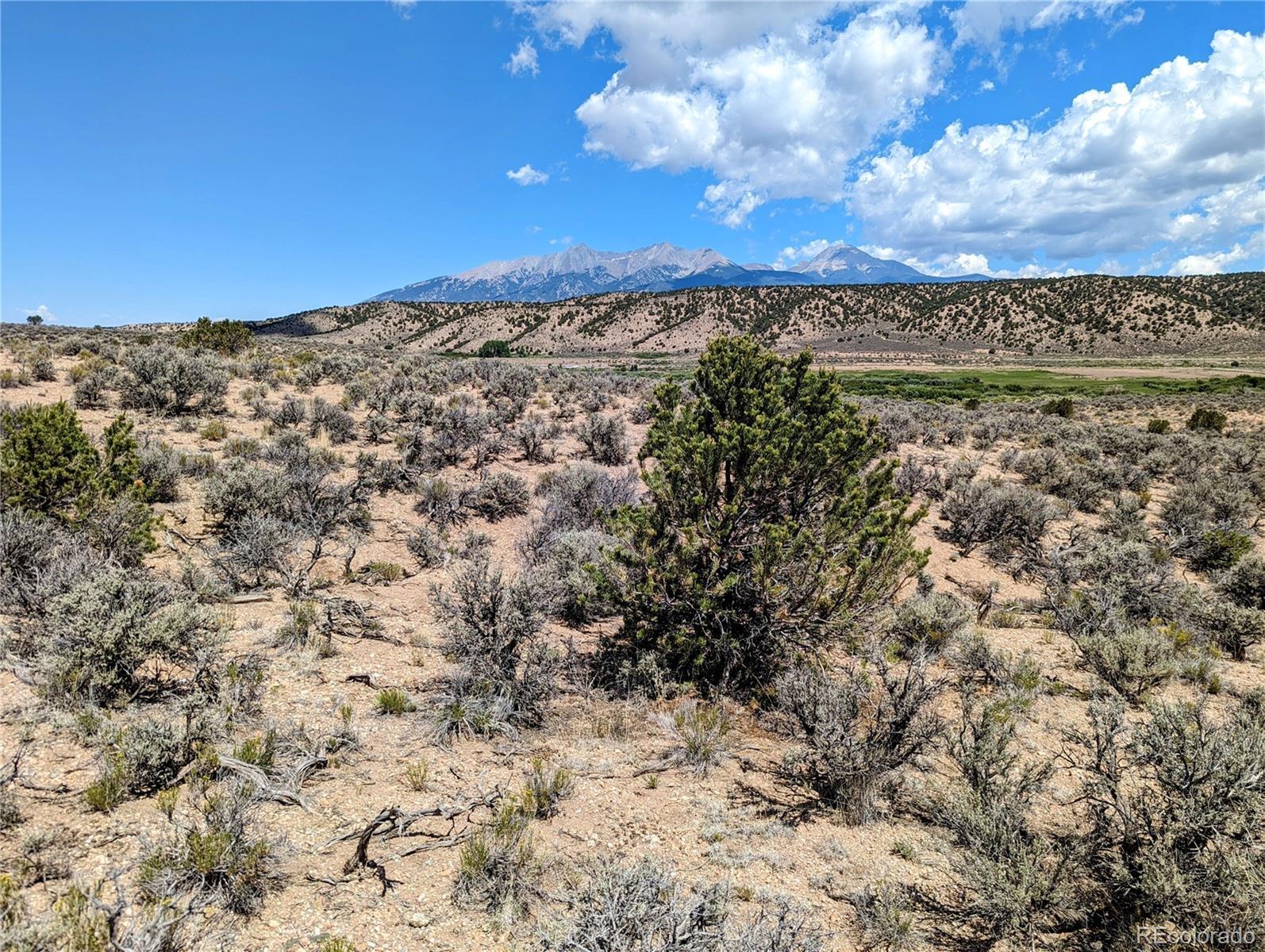 Photo of Listing #5656146