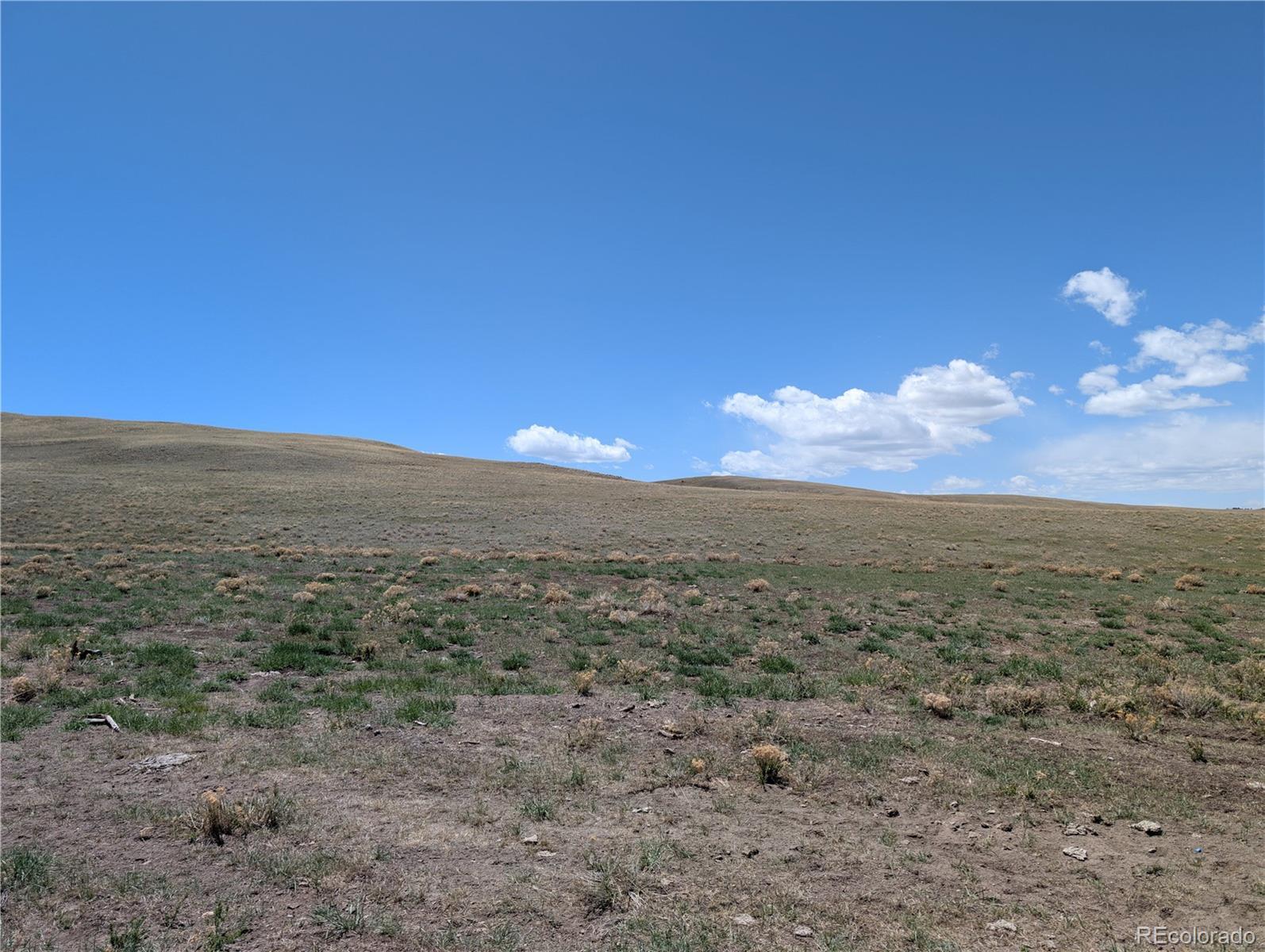 Photo of Listing #5674266