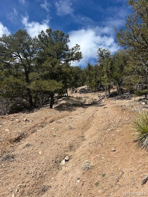 Photo of Listing #5687011