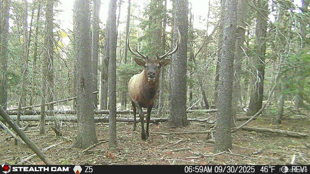 Photo of Listing #5755306