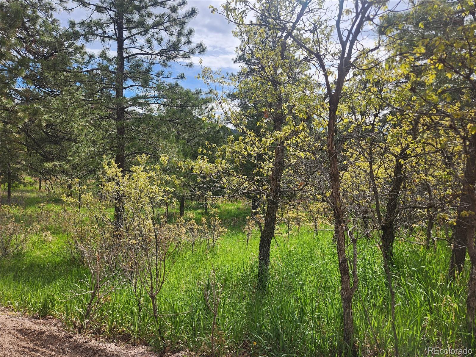 Photo of Listing #5761187