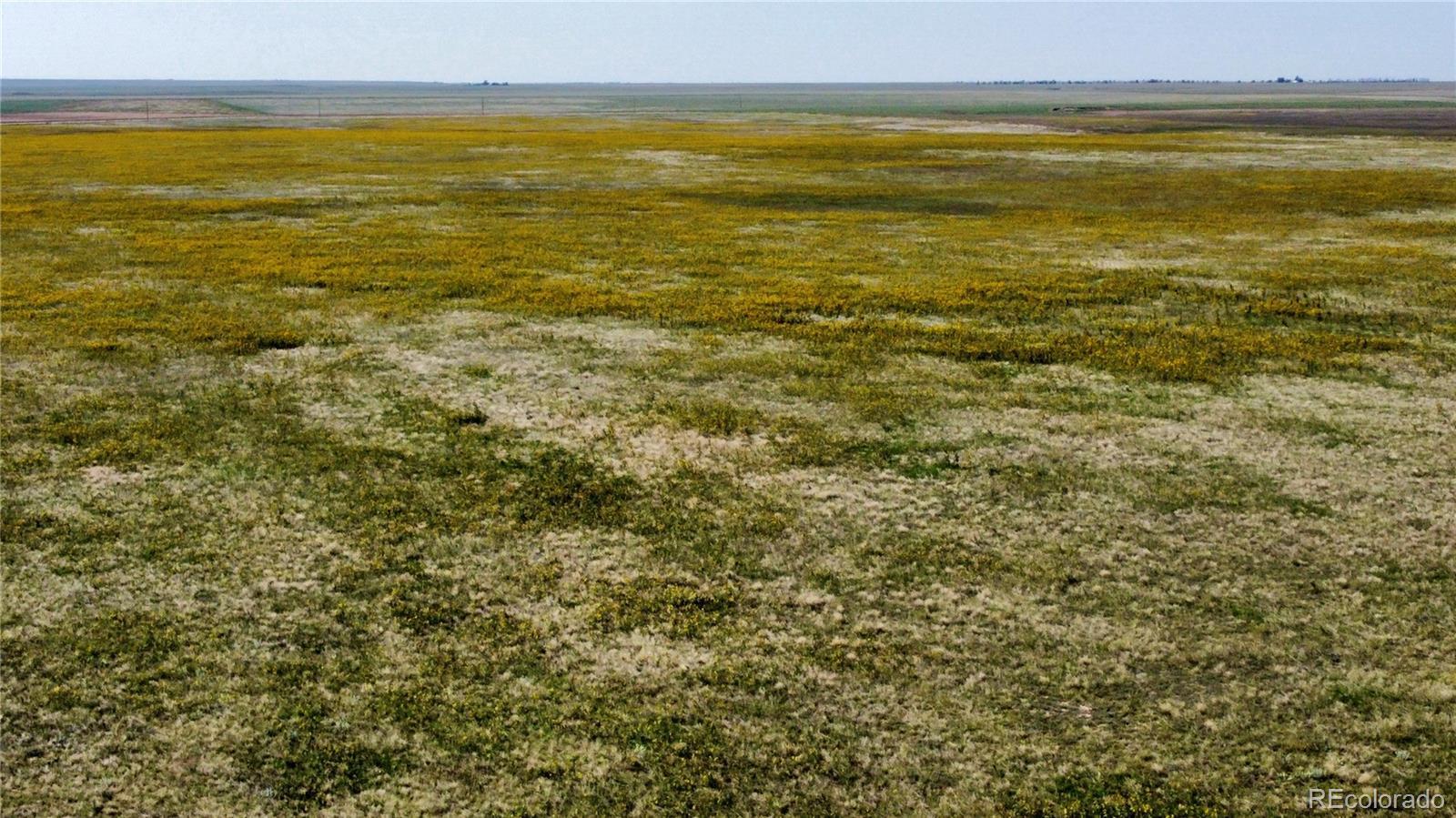 Photo of Listing #5790820