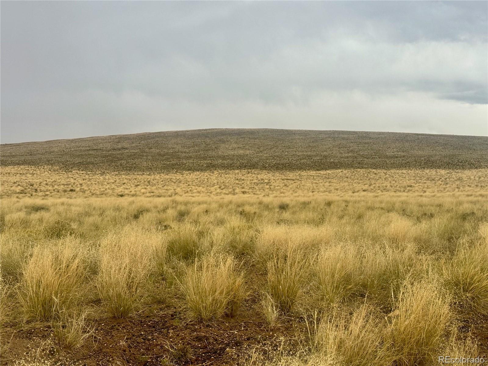 Photo of Listing #5869779