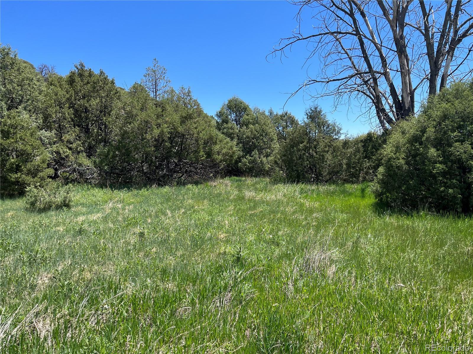 Photo of Listing #5900826
