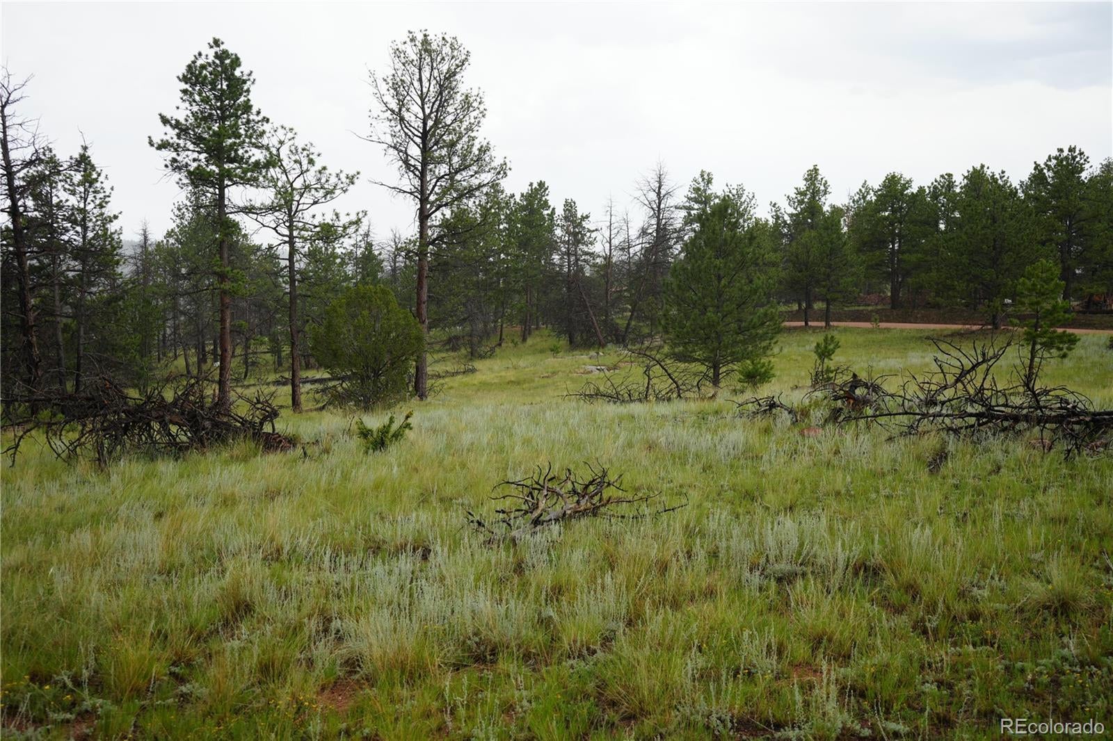 Photo of Listing #5912917