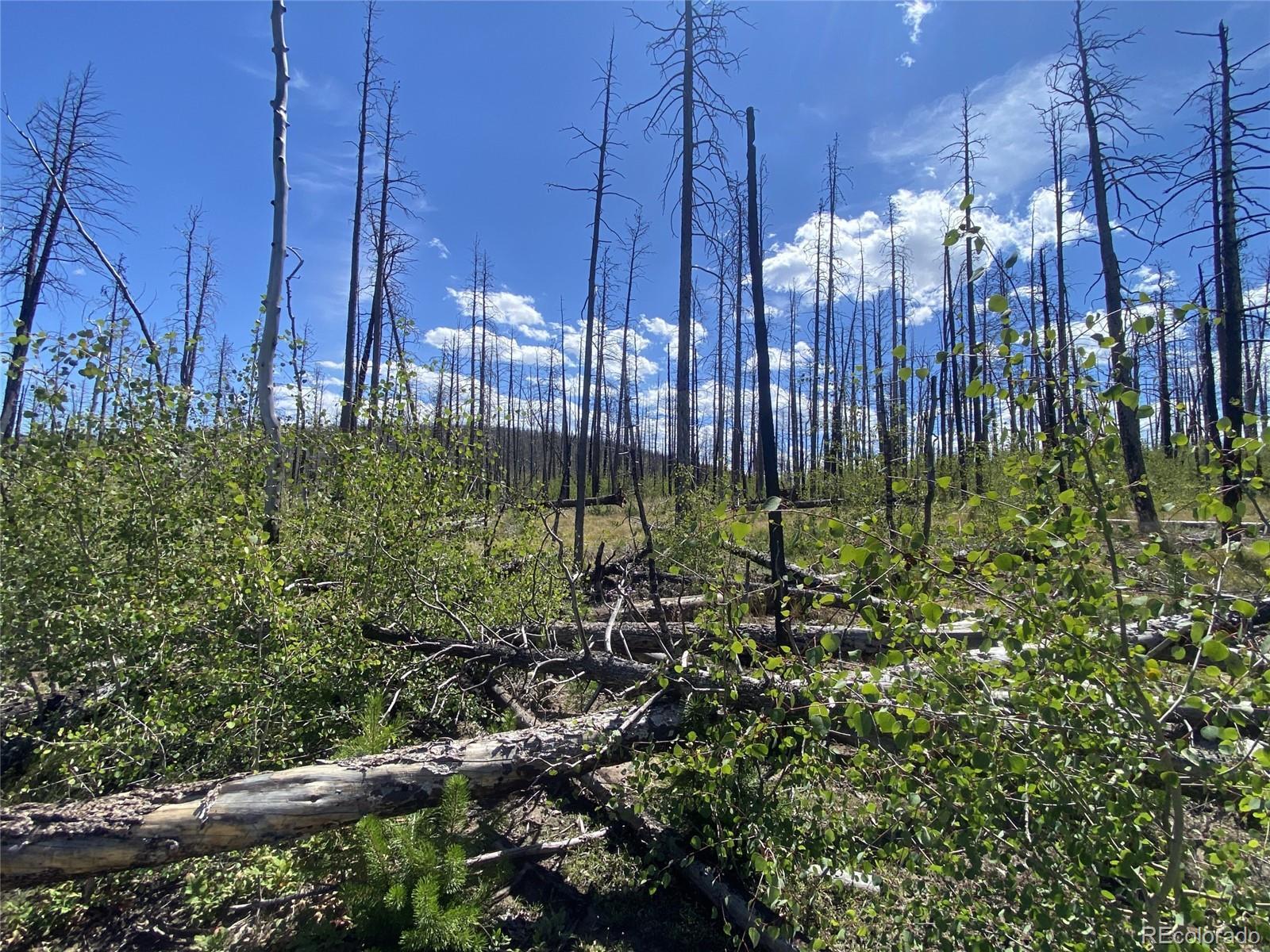 Photo of Listing #5943372