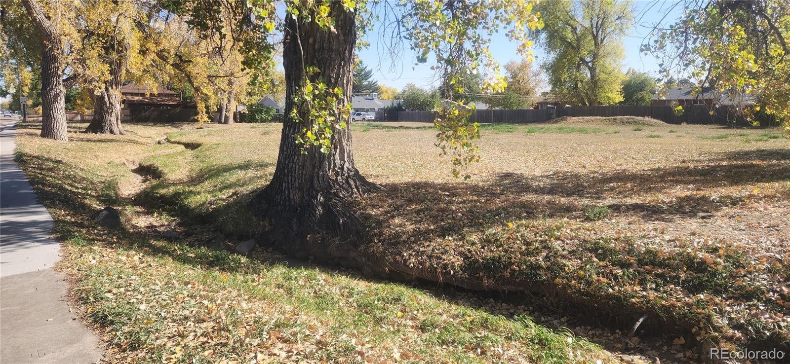 Photo of Listing #5948969