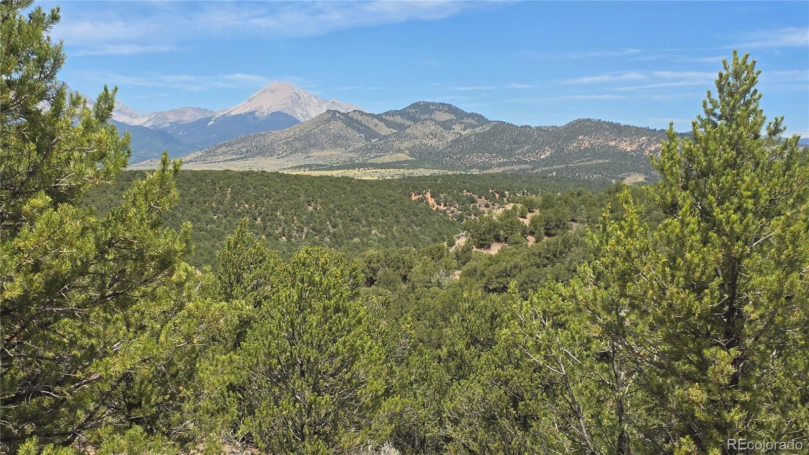 Photo of Listing #5998210