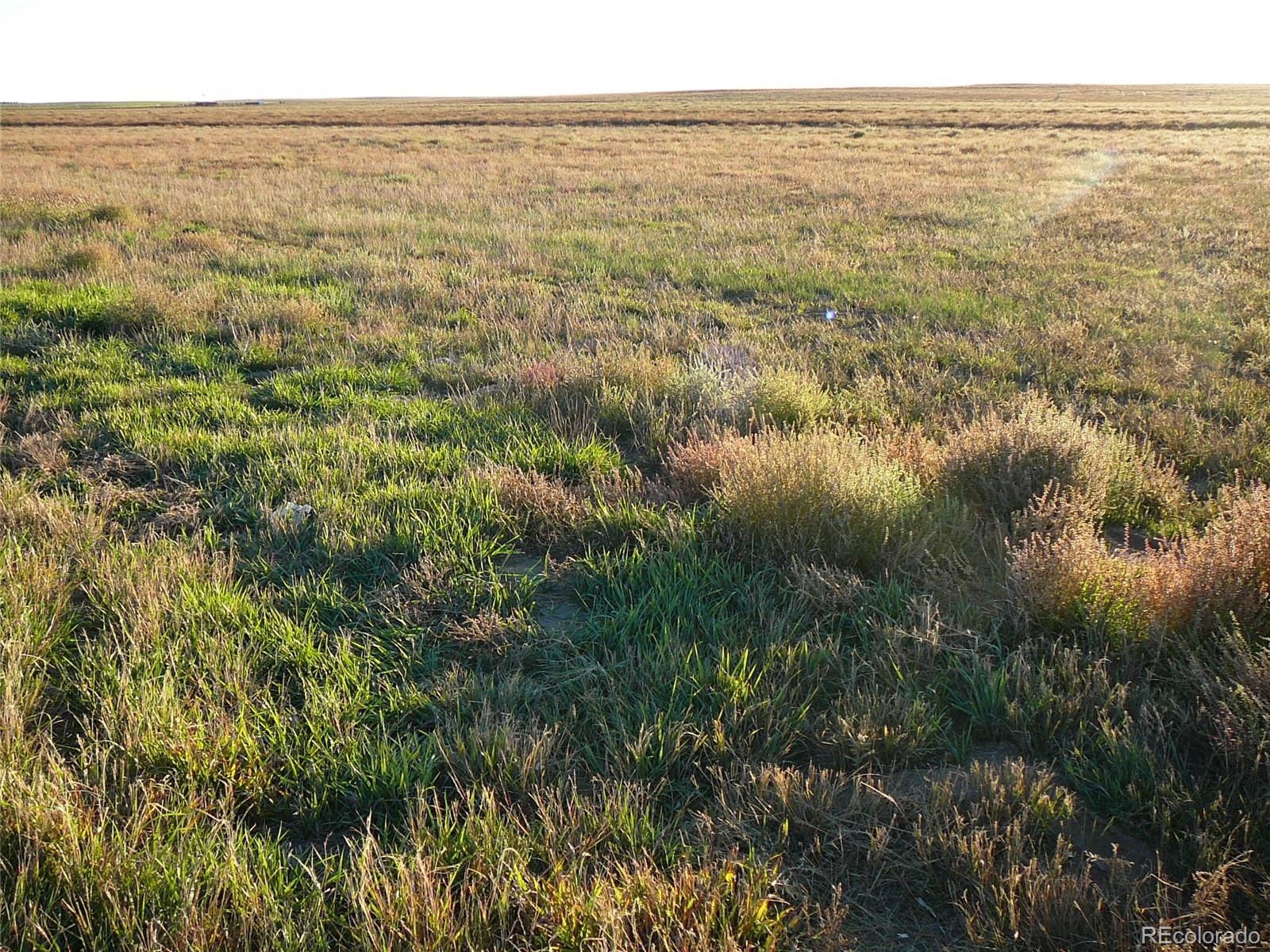 Photo of Listing #6063147