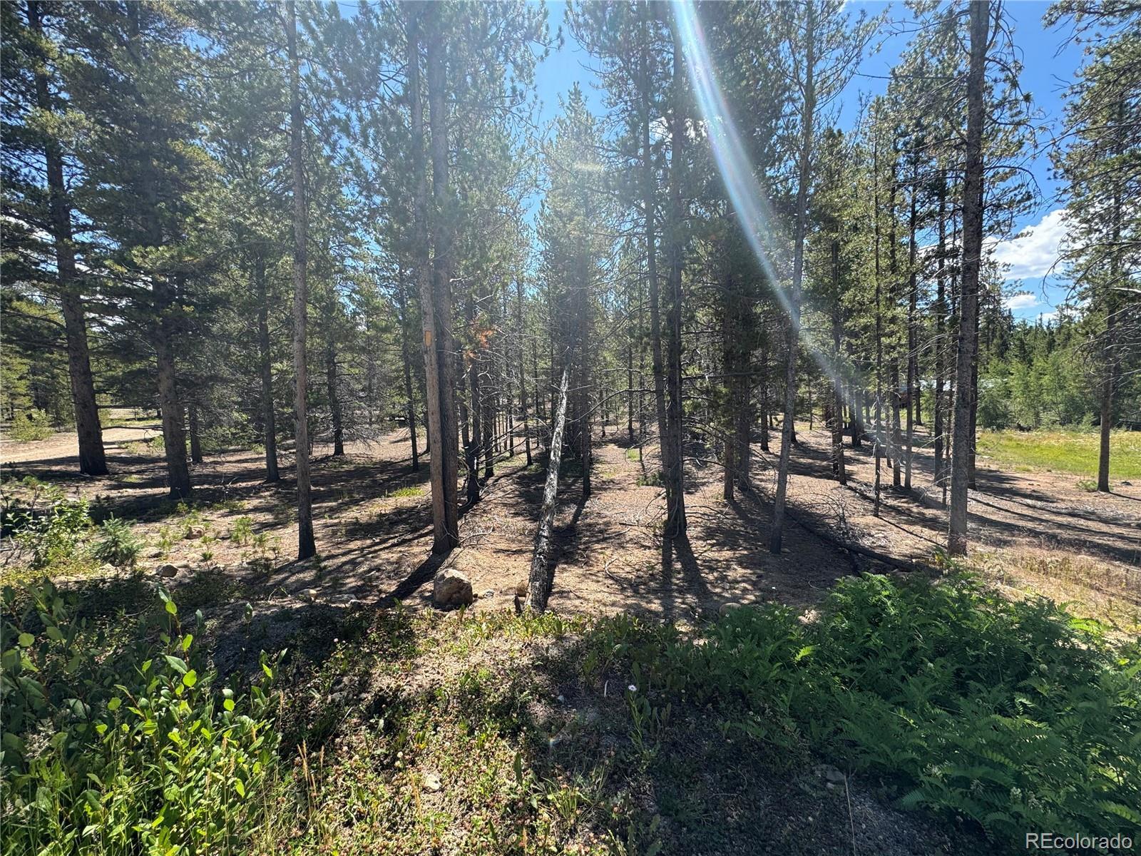 Photo of Listing #6112659