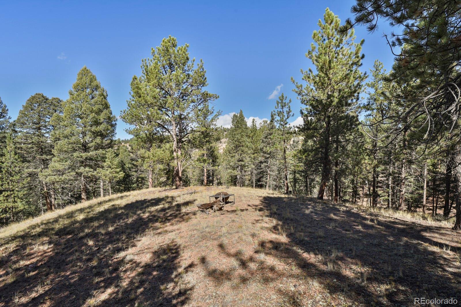 Photo of Listing #6120059