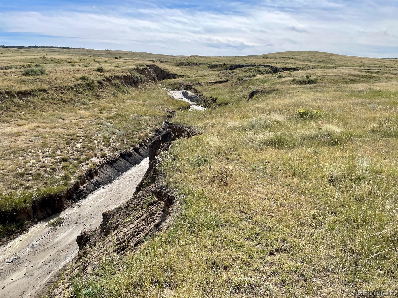 Photo of Listing #6157289