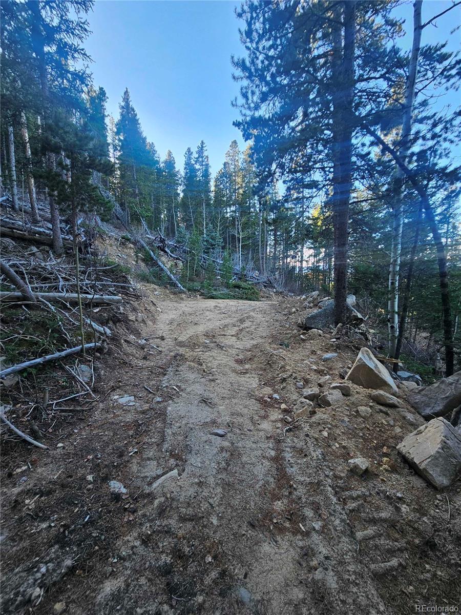 Photo of Listing #6161699