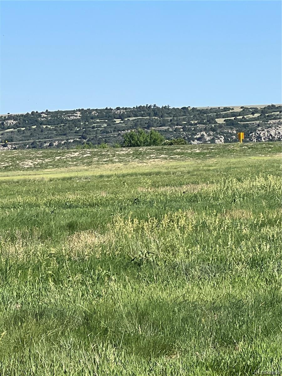 Photo of Listing #6170078