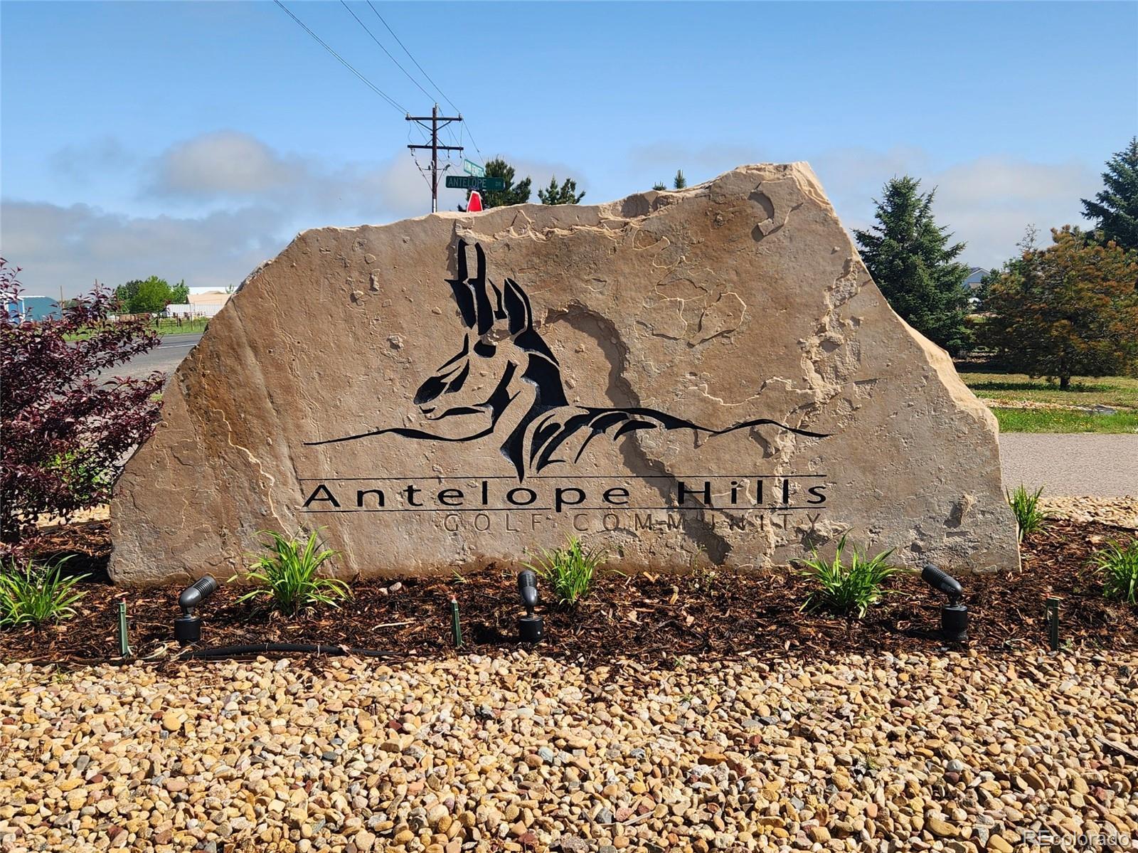 Photo of Listing #6211630