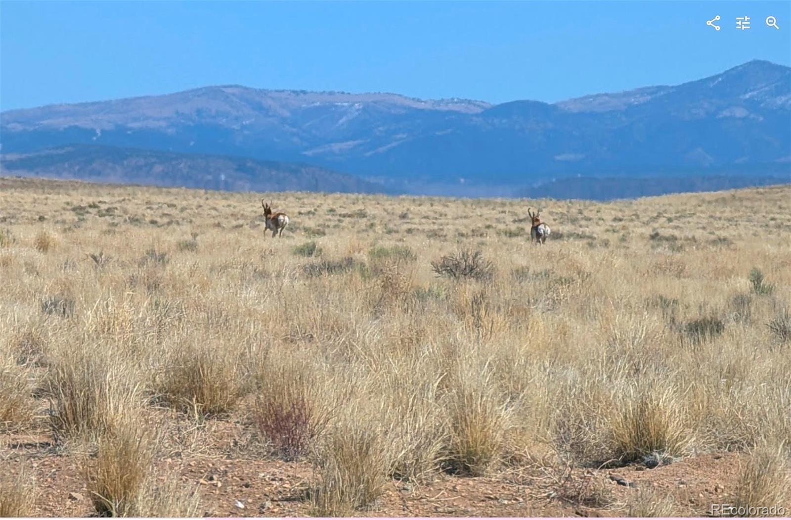 Photo of Listing #6234398