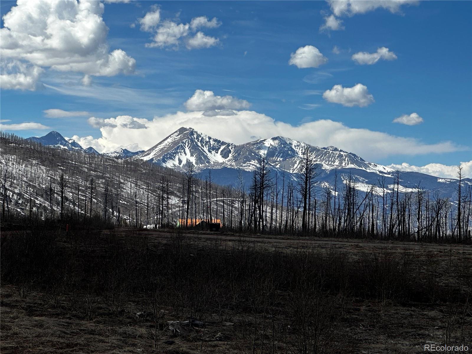 Photo of Listing #6269030