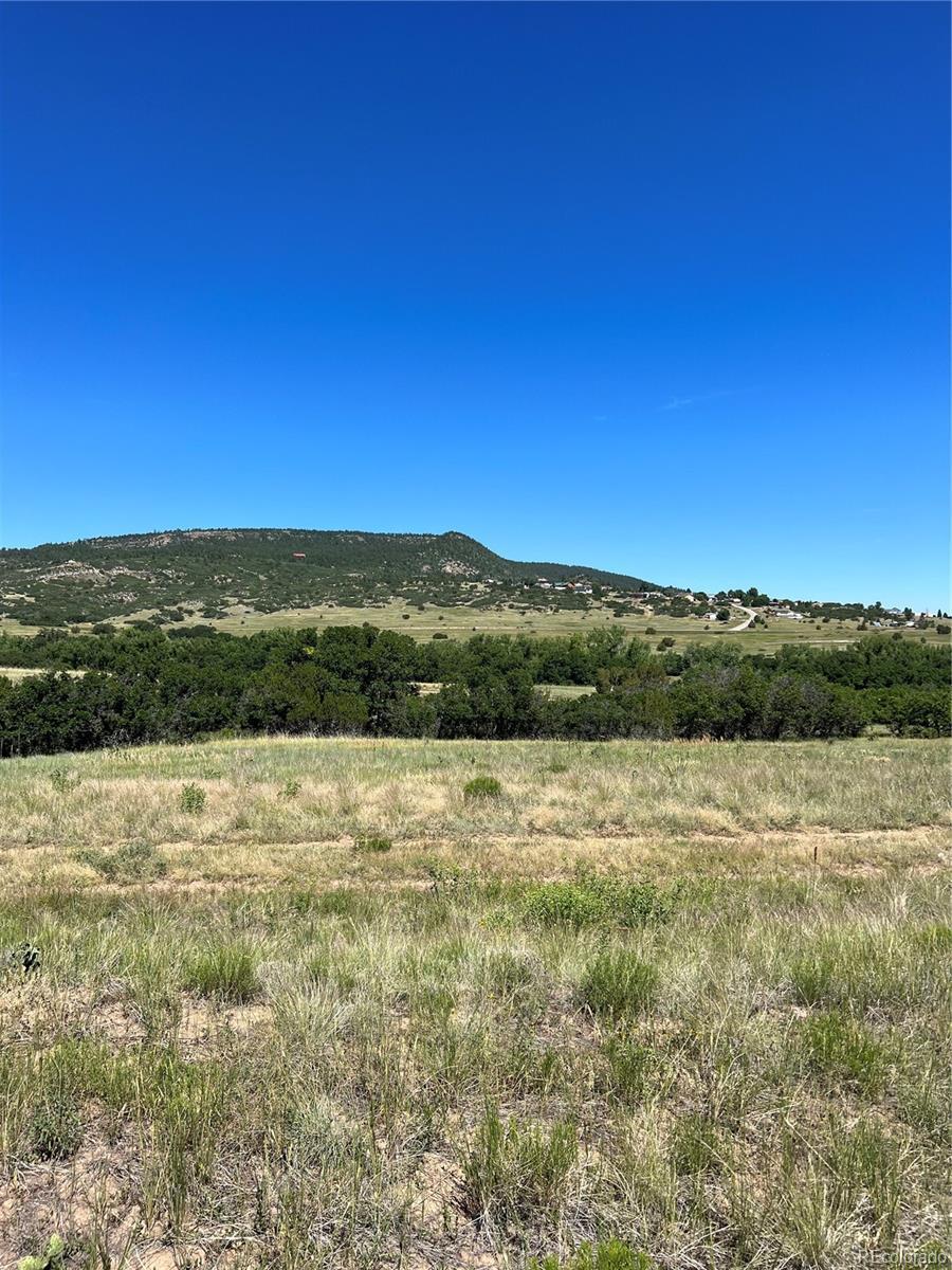 Photo of Listing #6290058