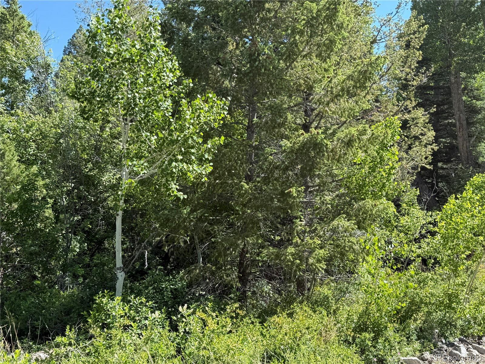 Photo of Listing #6292815