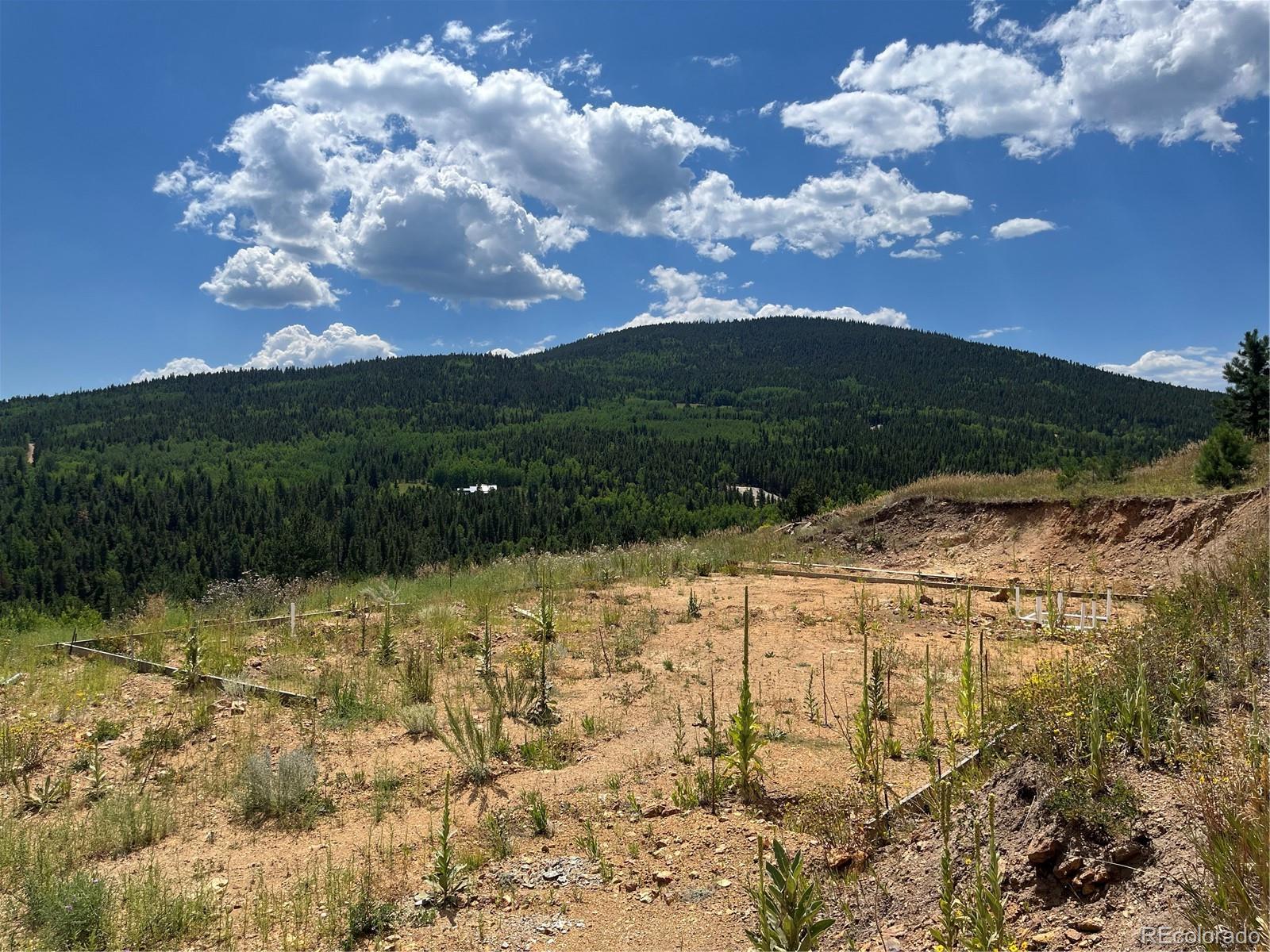 Photo of Listing #6309537