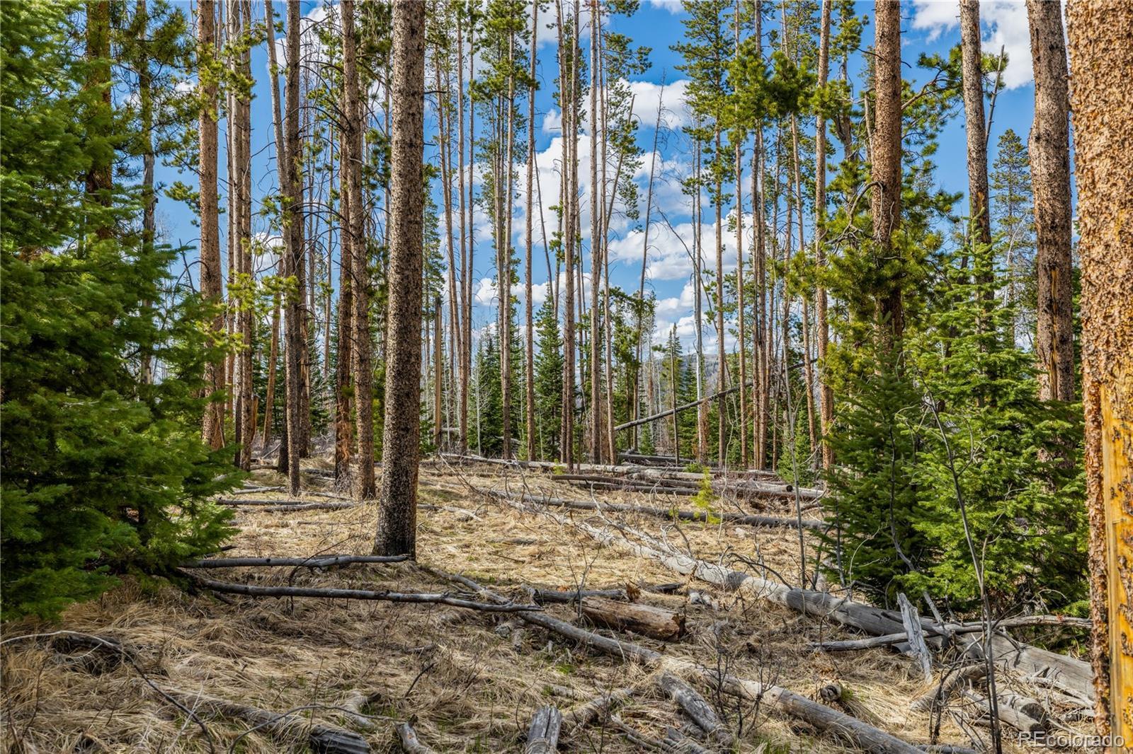 Photo of Listing #6328564