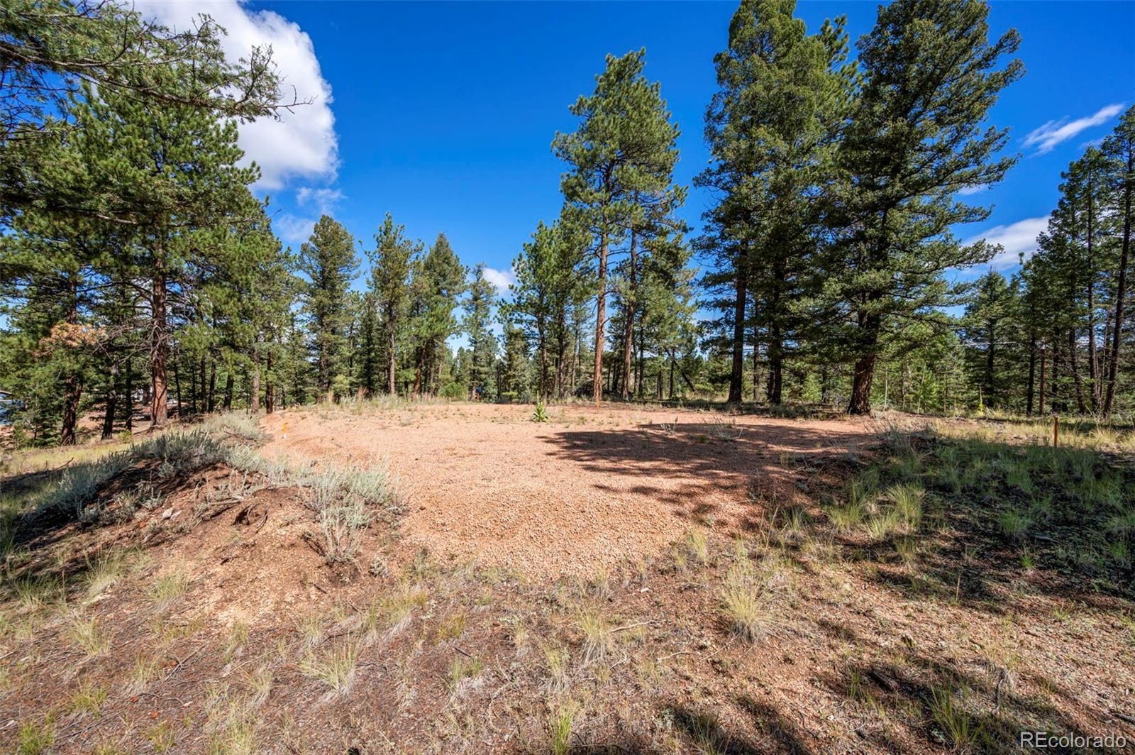 Photo of Listing #6366960