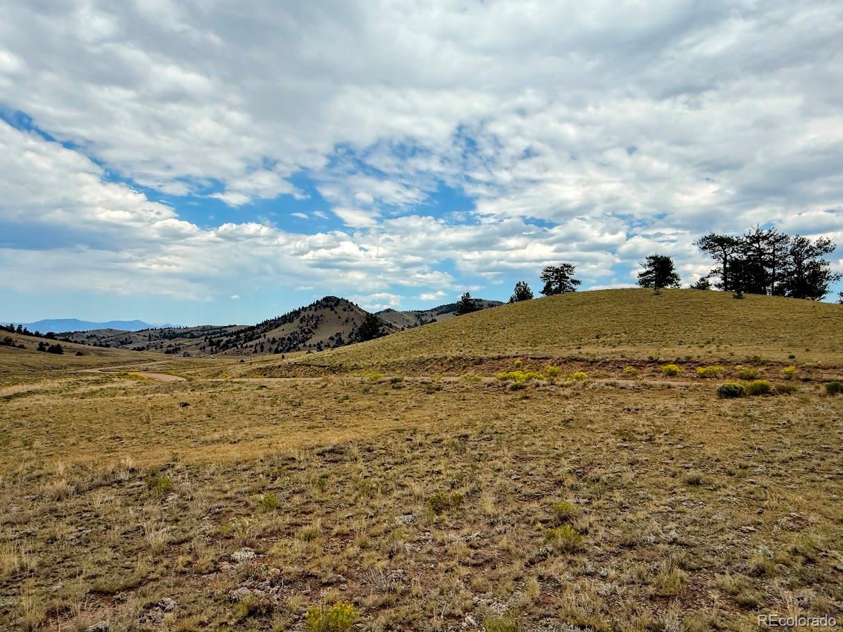 Photo of Listing #6368935